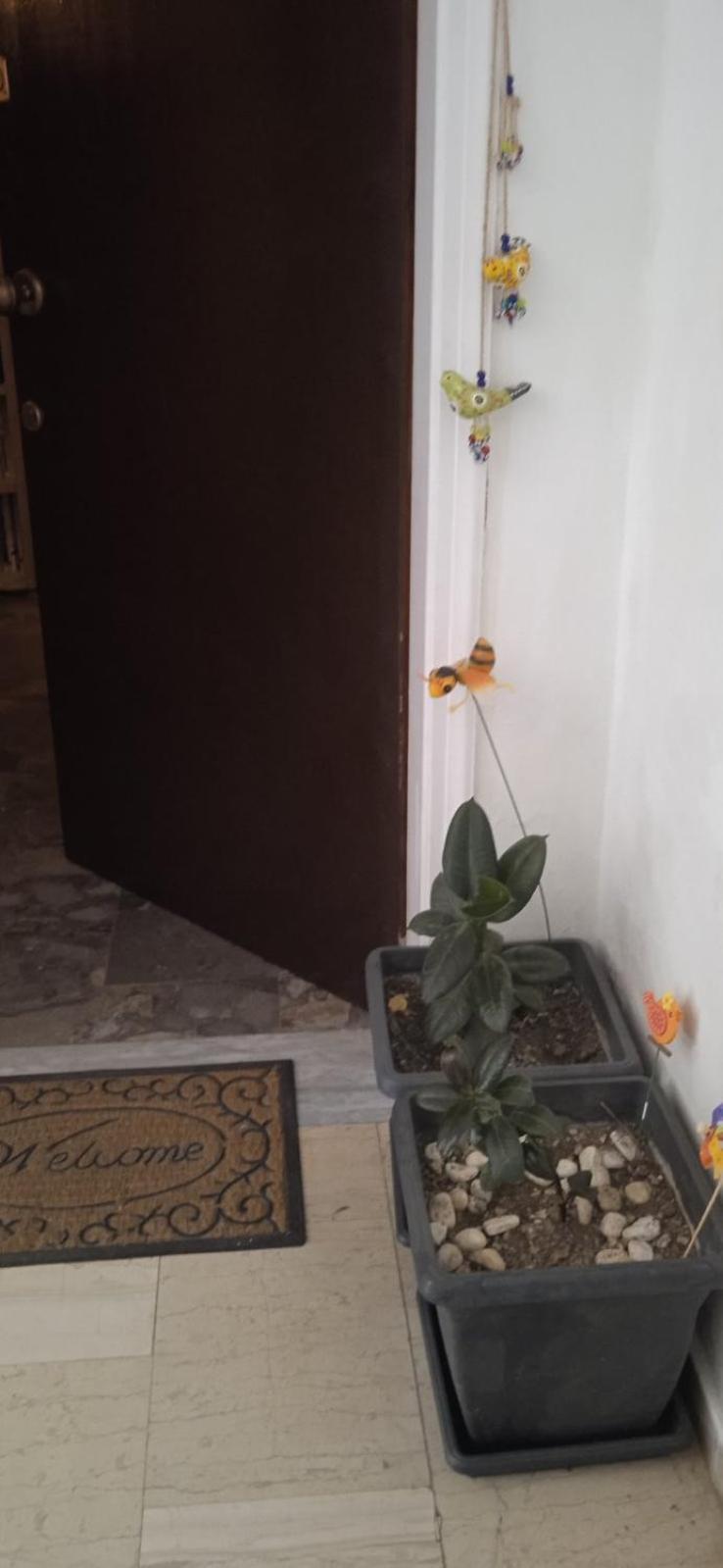 Campelina Home, 2Bd Near Corfu Town Екстериор снимка